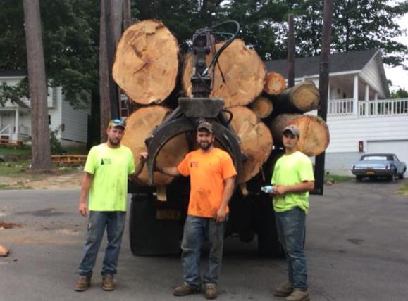 Robert Cole Tree Service: Service Image-12 Robert Cole Tree Service: Service Image-12